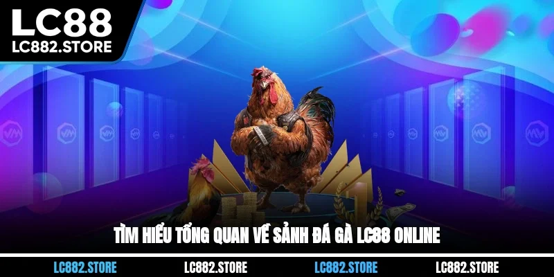 Tìm hiểu tổng quan về sảnh đá gà LC88 online
